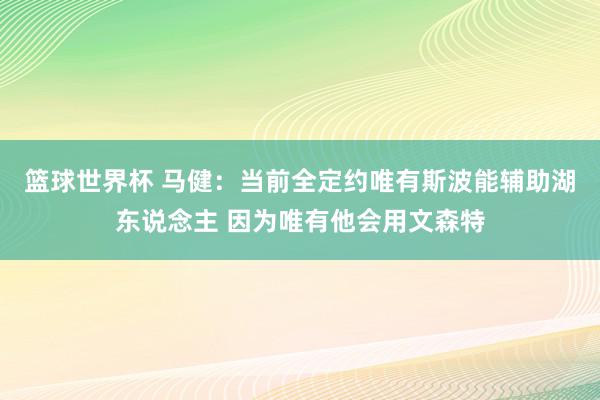 篮球世界杯 马健：当前全定约唯有斯波能辅助湖东说念主 因为唯有他会用文森特