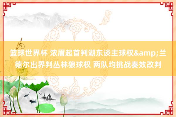 篮球世界杯 浓眉起首判湖东谈主球权&兰德尔出界判丛林狼球权 两队均挑战奏效改判