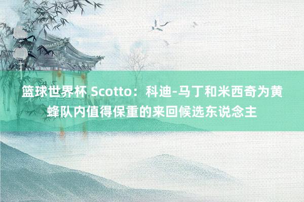 篮球世界杯 Scotto：科迪-马丁和米西奇为黄蜂队内值得保重的来回候选东说念主