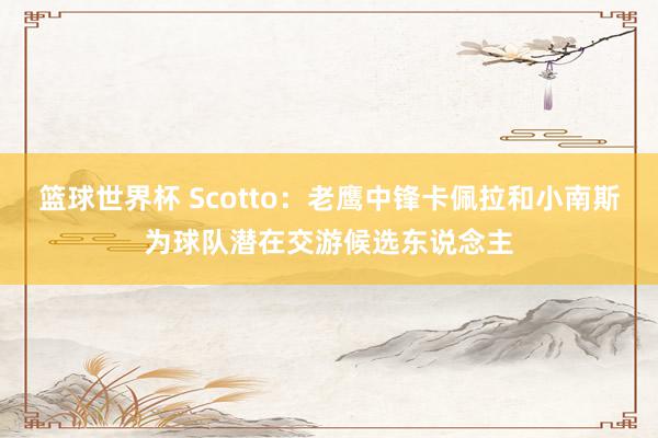 篮球世界杯 Scotto：老鹰中锋卡佩拉和小南斯为球队潜在交游候选东说念主